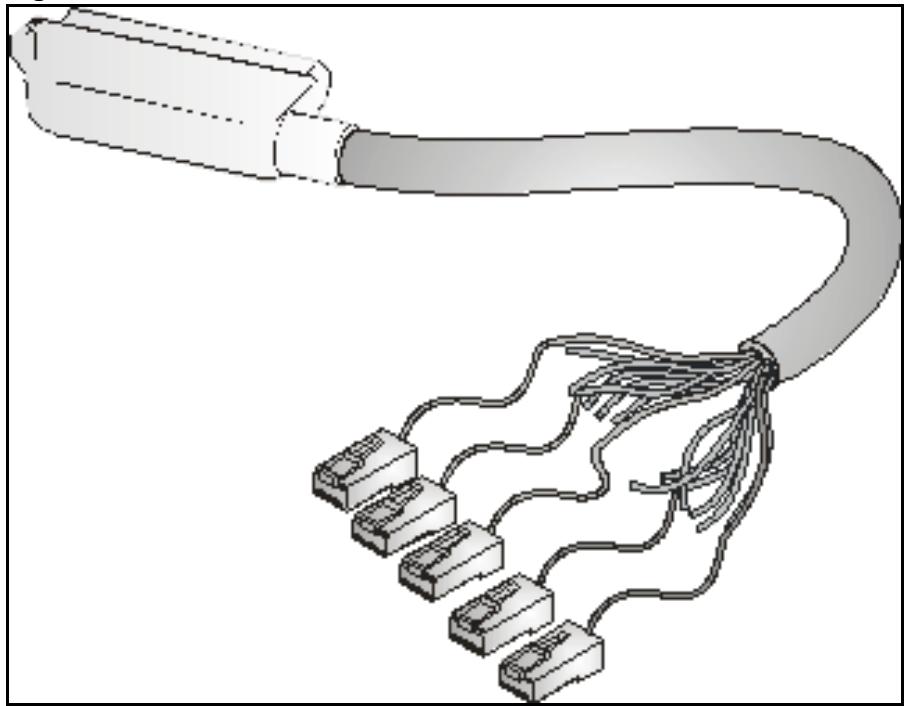ZYXEL IES-1248-51 - Telco-50 Cables - 1