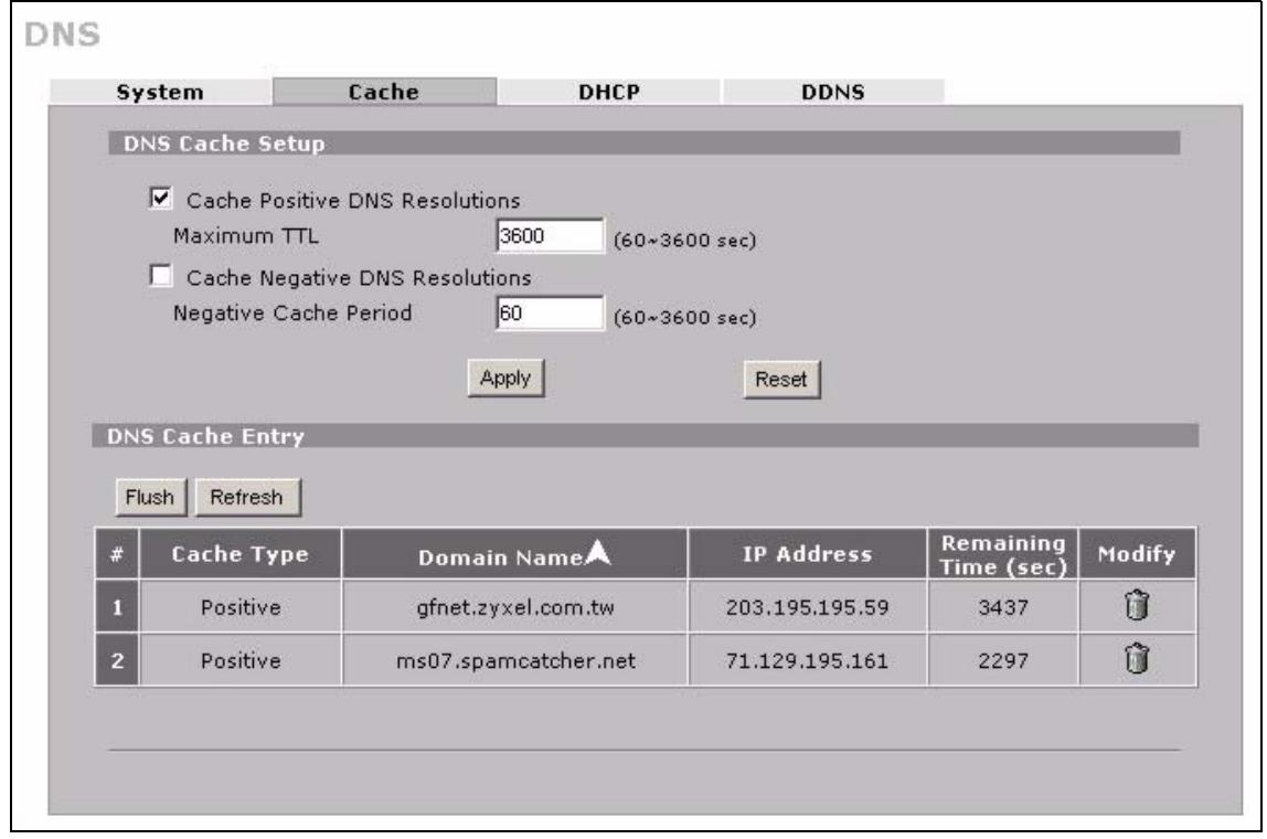 ZYXEL NBG410W3G - Configure DNS Cache - 1