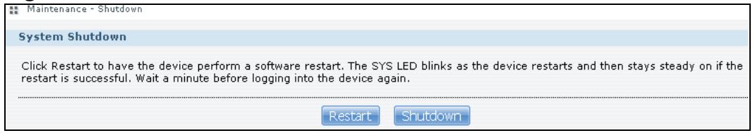 ZYXEL NSA221 - The Shutdown Screen - 1