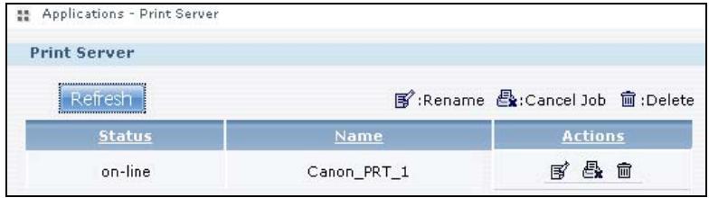 ZYXEL NSA221 - The Print Server Screen - 1