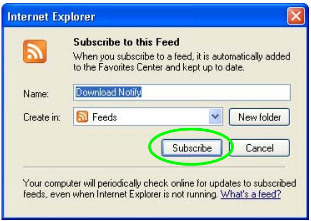 ZYXEL NSA221 - Internet Explorer 7 Example - 3