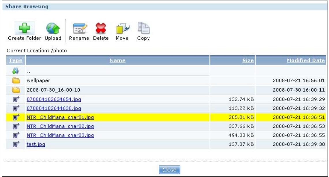 ZYXEL NSA221 - The Share Browser Screen - 1