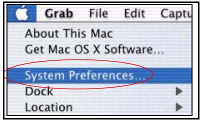 ZYXEL NSA221 - Macintosh OS X - 1