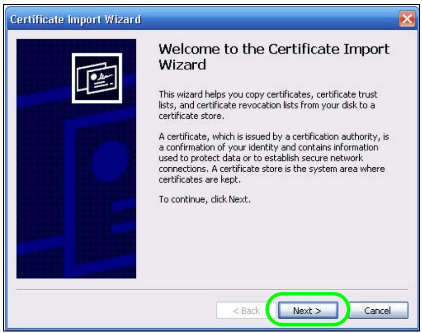 ZYXEL NSA221 - Downloading and Installing Customized Certificate - 5