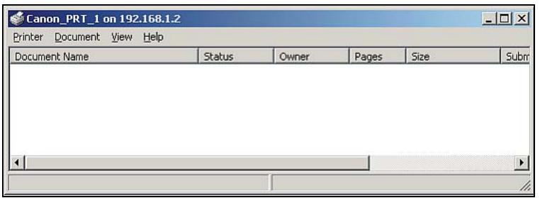 ZYXEL NSA221 - Printer Server Tutorial - 6