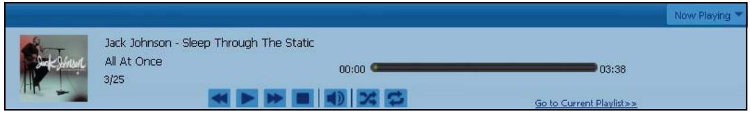 ZYXEL NSA221 - Now Playing (Music) - 1