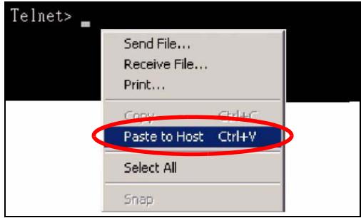 ZYXEL NWA-3166 - Copy and Paste Commands - 1