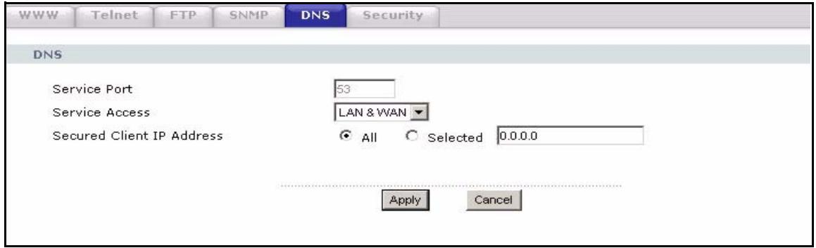 ZYXEL P-2302HWUDL-P1 - DNS Screen - 1