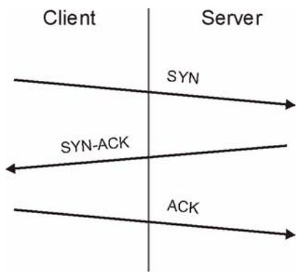 ZYXEL ZYWALL USG 2000 - TCP SYN Flood Attack - 1