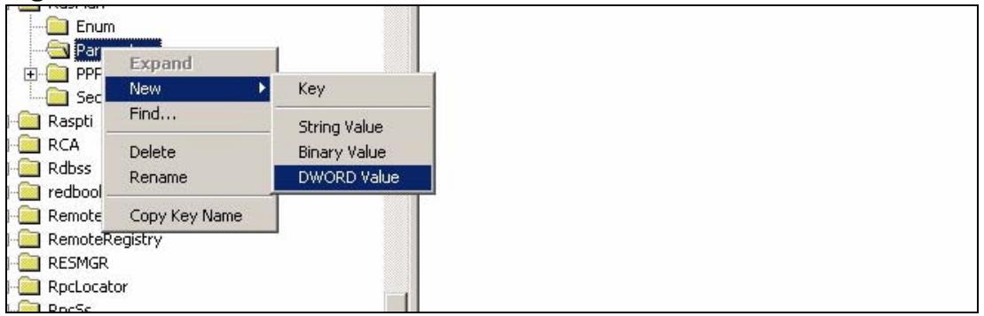 ZYXEL ZYWALL USG 2000 - Editing the Windows 2000 Registry - 3