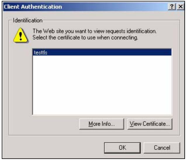 ZYXEL ZYWALL USG 2000 - Using a Certificate When Accessing the ZyWALL Example - 2