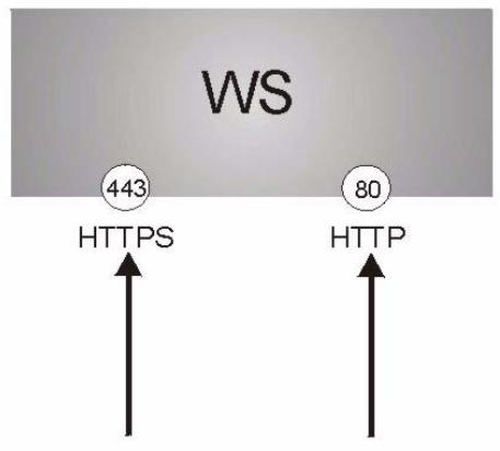 ZYXEL MGS-3712F - Introduction to HTTPS - 1