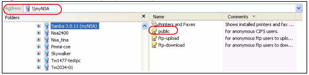 ZYXEL NSA-2400-1T - Session Example (Windows) - 1