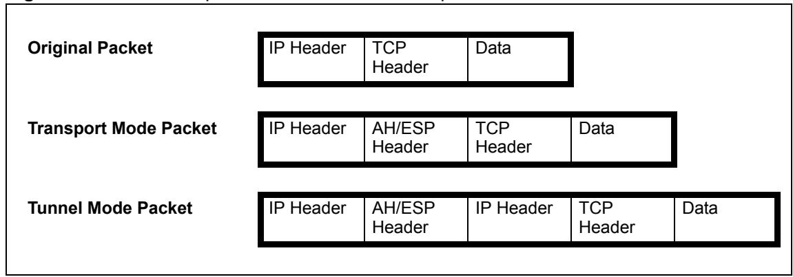 ZYXEL P-334U - Encapsulation - 1