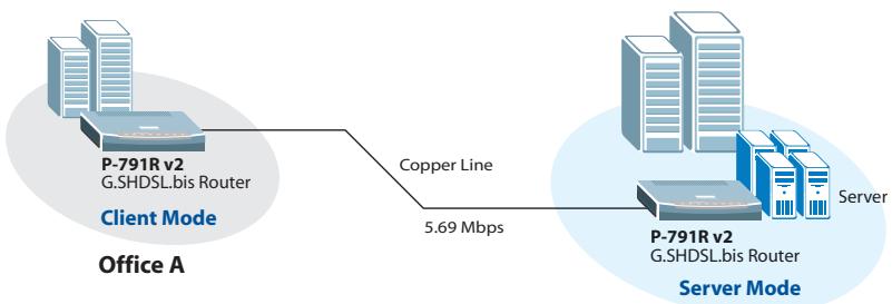 ZYXEL P-791R V2 - Broadband Internet Access - 1