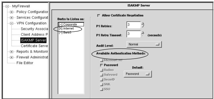 ZYXEL ZYWALL 100 - Enabling the VPN servers - 2
