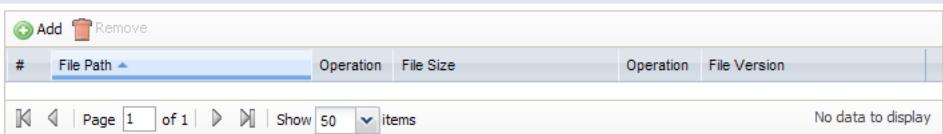 ZYXEL ZYWALL USG 20 - Checking Item - File Information - 1