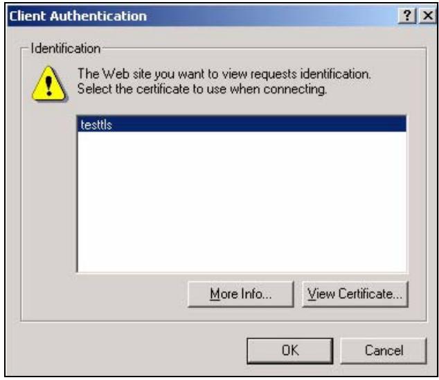 ZYXEL ZYWALL USG 20 - Using a Certificate When Accessing the ZyWALL Example - 2