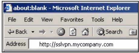 ZYXEL ZYWALL USG 20 - Remote User Login - 1