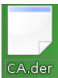 ZYXEL ZYWALL USG 20 - Installing a Stand-Alone Certificate File in Konqueror - 1