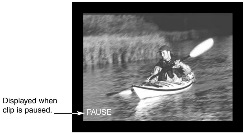 MINOLTA DIMAGE E201 - MOVIE PLAYBACK - 4