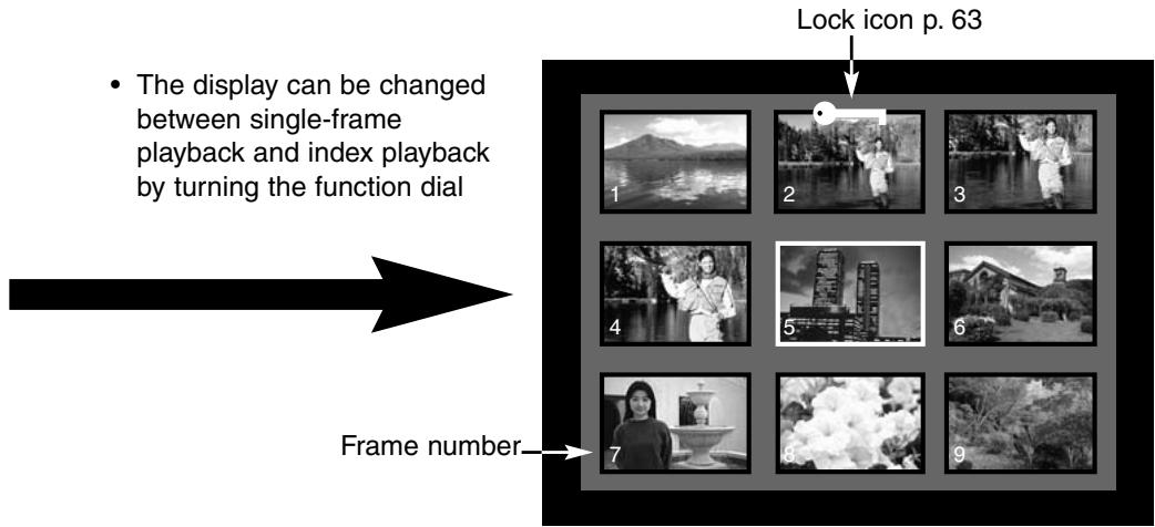 MINOLTA DIMAGE E201 - INDEX PLAYBACK - 3