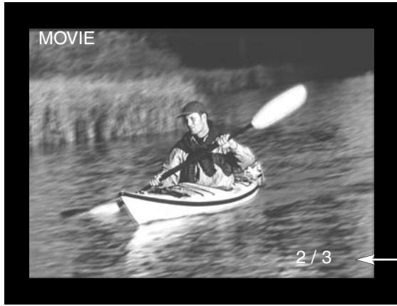 MINOLTA DIMAGE E201 - MOVIE PLAYBACK - 2