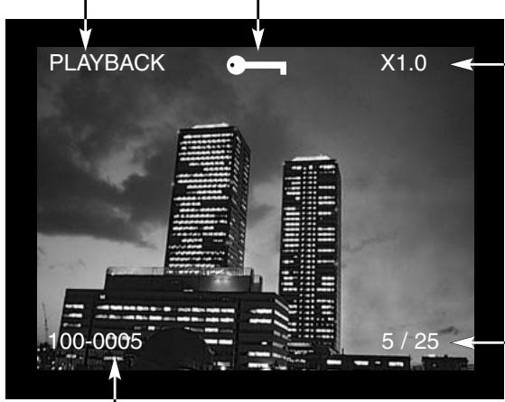 MINOLTA DIMAGE E201 - SINGLE-FRAME PLAYBACK - 3