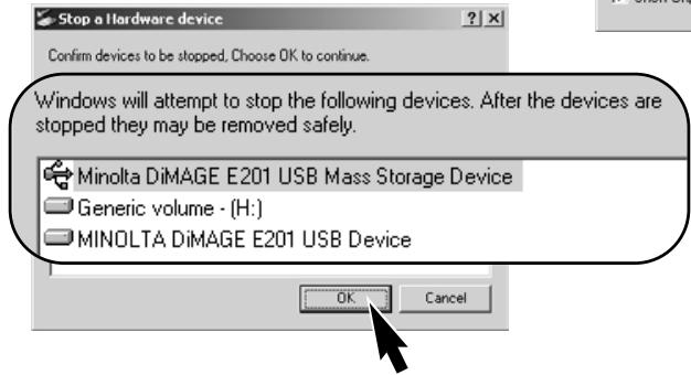 MINOLTA DIMAGE E201 - For Windows 2000 Professional - 3