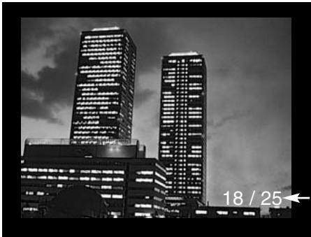 MINOLTA DIMAGE E201 - EXIT - 1