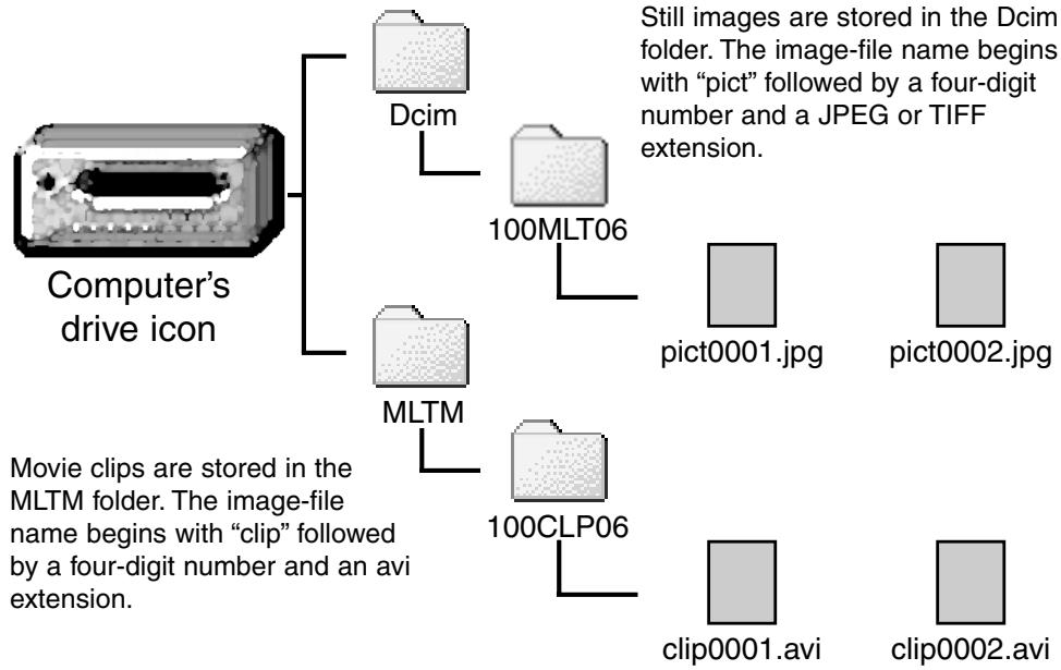 MINOLTA DIMAGE E201 - COMPACTFLASH CARD FOLDER ORGANISATION - 1