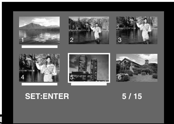 MINOLTA DIMAGE E201 - SET ORDER - 1