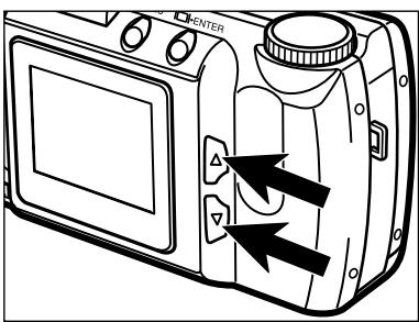 MINOLTA DIMAGE E201 - INDEX PLAYBACK - 2