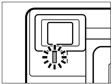 MINOLTA DIMAGE E201 - FLASH MODES - 17