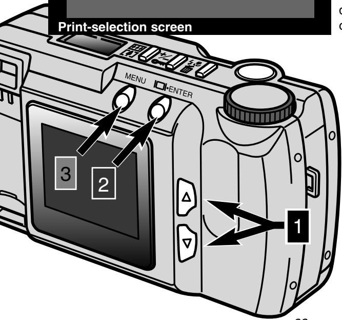 MINOLTA DIMAGE E201 - SET ORDER - 2