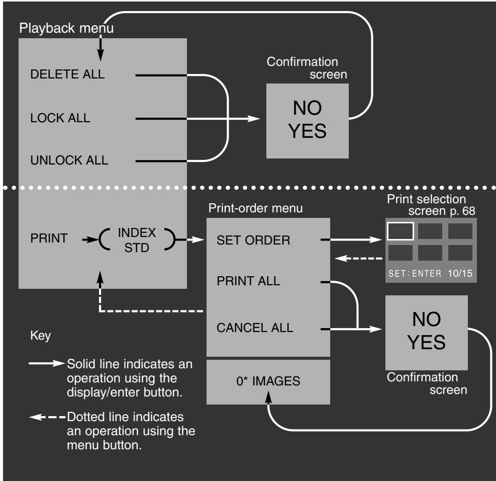 MINOLTA DIMAGE E201 - NAVIGATING THE PLAYBACK MENU - 5