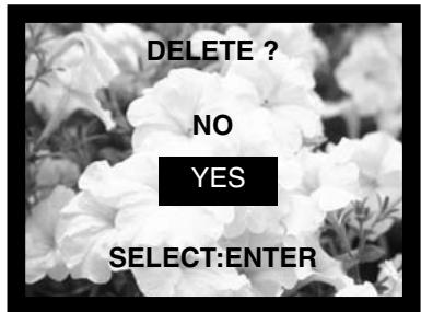 MINOLTA DIMAGE E201 - DELETING SINGLE IMAGES - 2