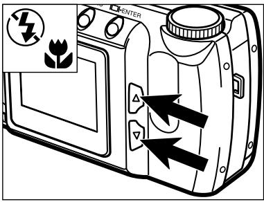 MINOLTA DIMAGE E201 - CLOSE-UP PHOTOGRAPHY (Macro Mode) - 2
