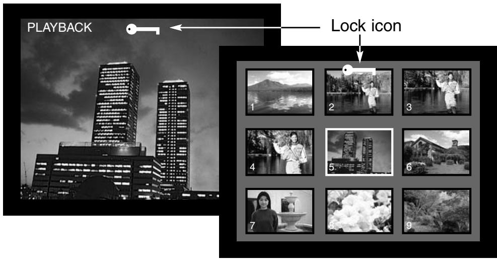 MINOLTA DIMAGE E201 - LOCKING AND UNLOCKING SINGLE IMAGES - 2