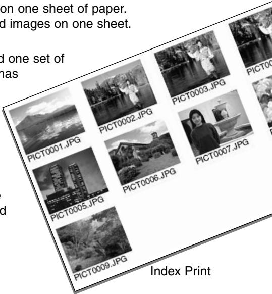 MINOLTA DIMAGE E201 - PRINTING FORMAT - 1