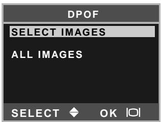 MINOLTA DIMAGE E223 - Creating a DPOF Print Order - 1
