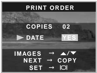 MINOLTA DIMAGE E223 - Creating a DPOF Print Order - 8