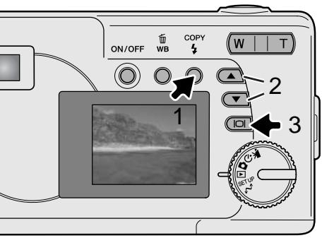 MINOLTA DIMAGE E223 - Image copy - 1