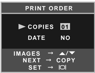 MINOLTA DIMAGE E223 - Creating a DPOF Print Order - 11