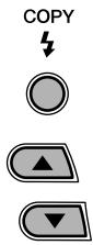 MINOLTA DIMAGE E223 - Creating a DPOF Print Order - 7