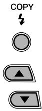 MINOLTA DIMAGE E223 - Creating a DPOF Print Order - 9