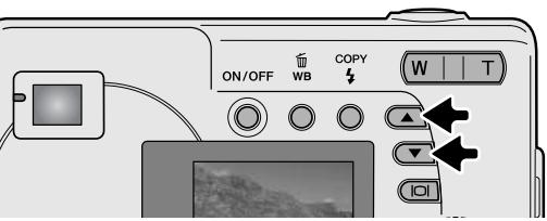 MINOLTA DIMAGE E223 - PROGRAM-RECORDING MODE - 2