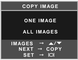 MINOLTA DIMAGE E223 - Image copy - 2