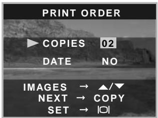 MINOLTA DIMAGE E223 - Creating a DPOF Print Order - 6