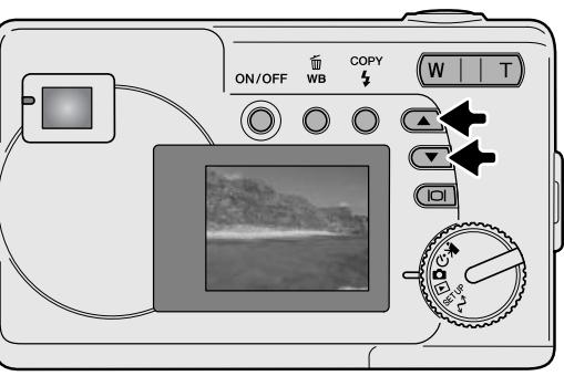 MINOLTA DIMAGE E223 - Viewing images - 1